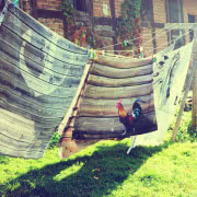 KUKU.RYKU, czyli pościel z kogutem, to ukłon HUG...