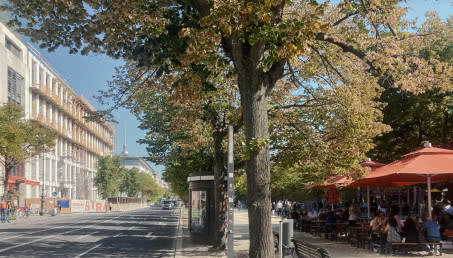 Wystawa polskich architektów w Berlinie! Rusza już 3 listopada!