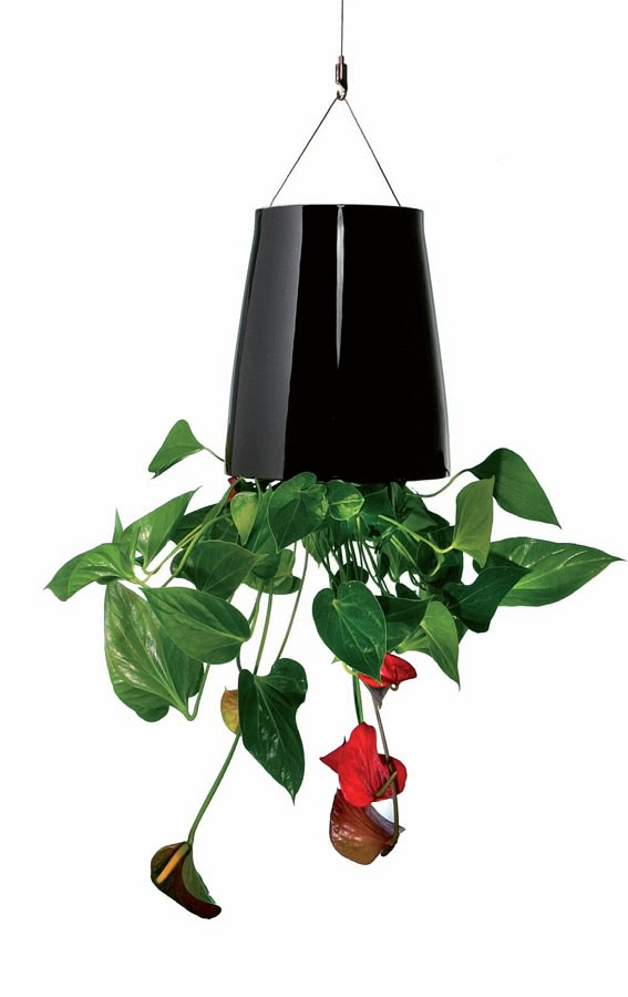 Wisząca doniczka Sky Planter Classic wyposażona...
