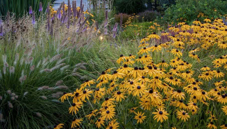 Jakie prace w ogrodzie we wrześniu warto zrobić? Ogrodowa ściąga dla zabieganych