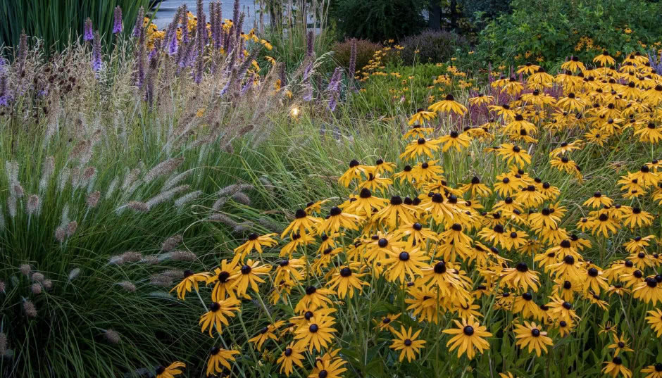 Jakie prace w ogrodzie we wrześniu warto zrobić? Ogrodowa ściąga dla zabieganych