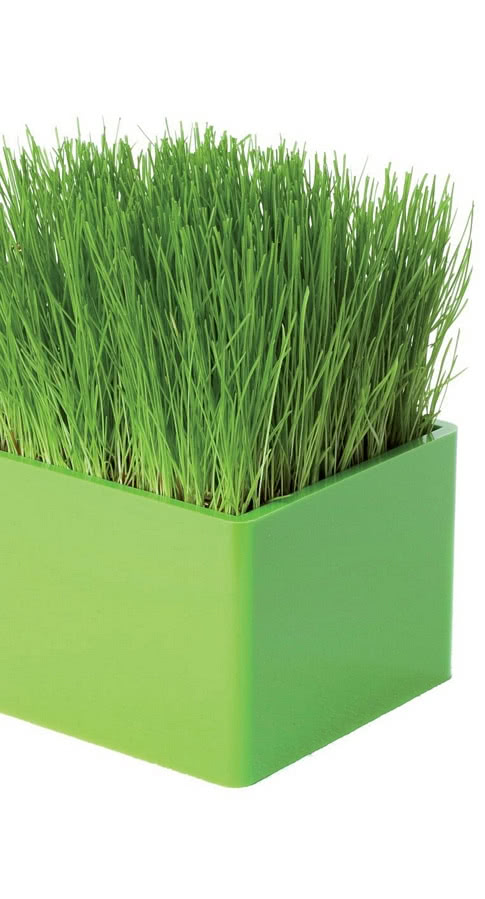 Miniogródek Fairway – rewolucyjny pomysł...