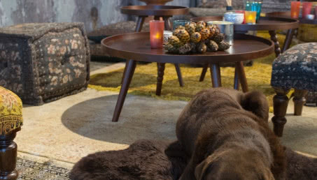 Meble i dodatki Dutchbone w DutchHouse.pl