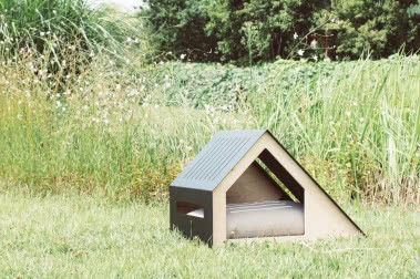 Designerskie budy dla psa - czy warto inwestować w design dla zwierząt?