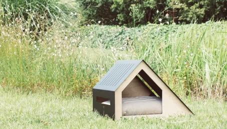 Designerskie budy dla psa - czy warto inwestować w design dla zwierząt?
