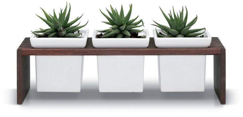 Pojemnik Plint 3 wenge – trzy ceramiczne...