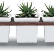 Wisząca doniczka Sky Planter Classic wyposażona...