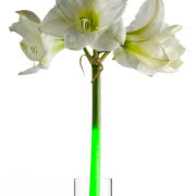 Dwuosobowa ławka jest połączeniem filcu ze...