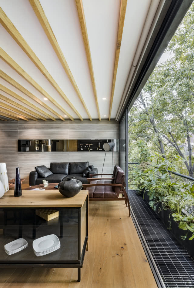 Penthouse in Magdalena od Taller David Dana - Mexico City, Colonia del Valle Norte, fot. César Béjar