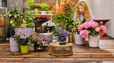 Jak zapewnić roślinom w skrzynkach i donicach optymalną ilość wody?