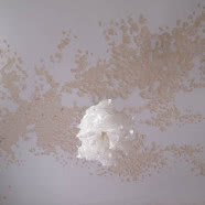 Bez kompromisów - jak mieszka NeSpoon