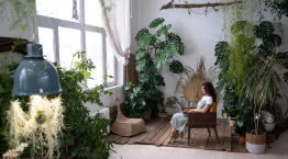 Natura w aranżacji domu: moda na biophilic design trwa!