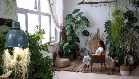 Natura w aranżacji domu: moda na biophilic design trwa!