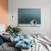 W sypialni pojawiło się kilka...