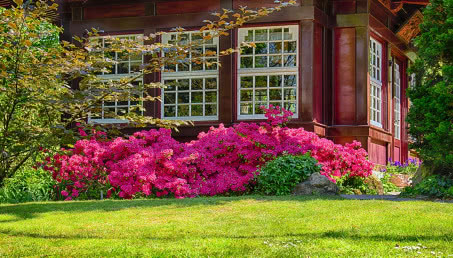 Najważniejsze zasady przy projektowaniu ogrodów