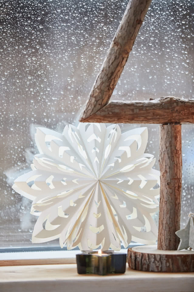 gwiazda oparta o okno