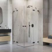 Essenza Pro Brushed Nickel DWJ