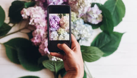 Darmowe aplikacje do rozpoznawania roślin - sprawdzamy, które są najlepsze!