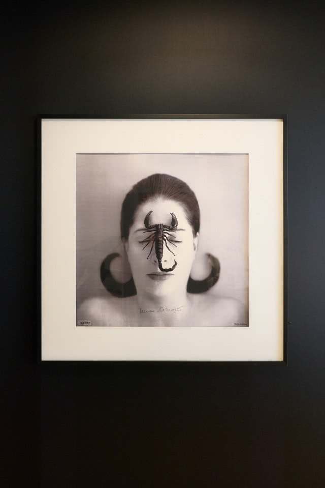 Fotografia Mariny Abramović ze skorpionem na twarzy na wystawie „Anatomia przełomu” w Archicom Collection Gallery w Warszawie.