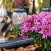 Pamiętajmy, że w listopadzie jest już dość...