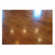 Parkiet Orzech Amerykański Natura