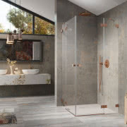 Essenza Pro Brushed Nickel DWJ