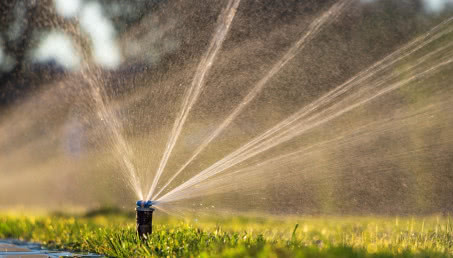 Jak zaprojektować nawadnianie ogrodu? Rodzaje urządzeń i sposób montażu