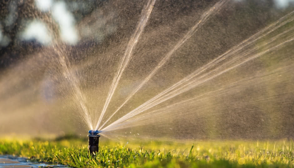 Jak zaprojektować nawadnianie ogrodu? Rodzaje urządzeń i sposób montażu