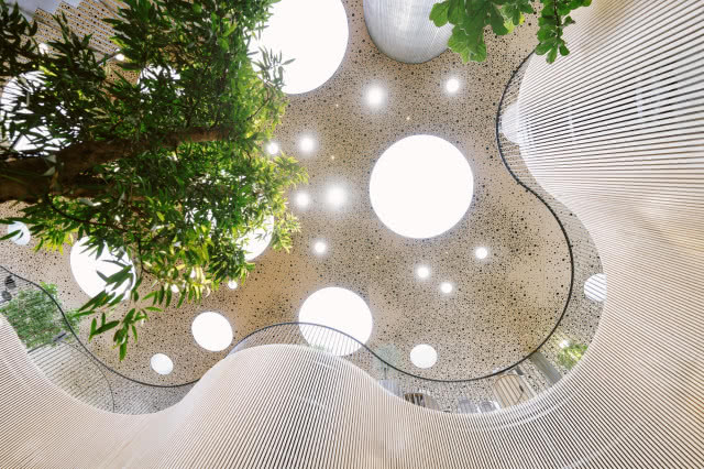 wnętrze szklarni - dach