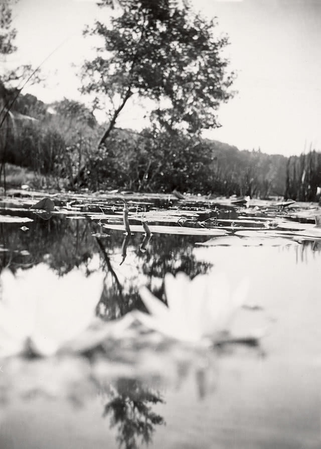 Agnieszka Osiecka - zdjęcie stawu