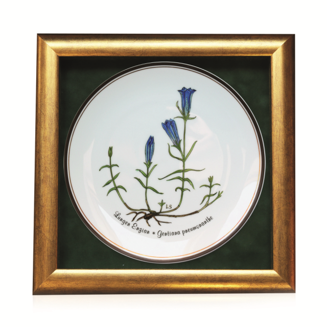 Zagrożone wyginięciem rośliny stanowią
motyw dekoracyjny serii talerzy, którą Loki
Schmidt stworzyła dla marki Rosenthal.