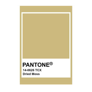 Kolor Pantone Dried Moss