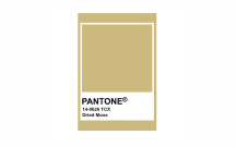 Kolory Pantone - Dried Moss