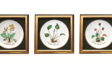 Ocalone w porcelanie - talerze z gatunkami roślin zagrożonych wyginięciem!
