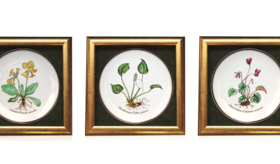 Ocalone w porcelanie - talerze z gatunkami roślin zagrożonych wyginięciem!
