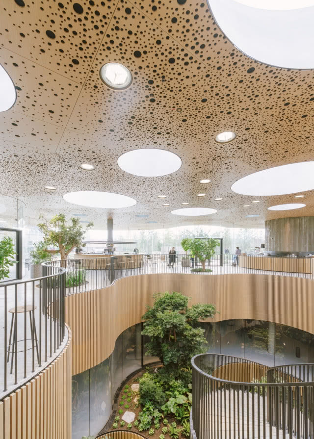 taras w środku szklarni