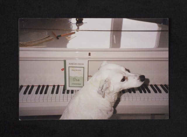 Agnieszka Osiecka - zdjęcie psa i fortepianu
