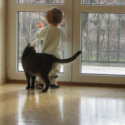 2 miejsce - pełne przywiązania zdjęcie kota...