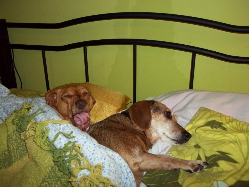 3 miejsce - zdjęcie "z przymrużeniem oka" dwóch...