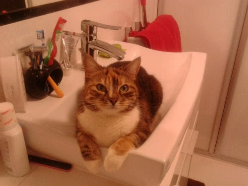 4 miejsce - Księżniczka w umywalce. Marcin Żmódź