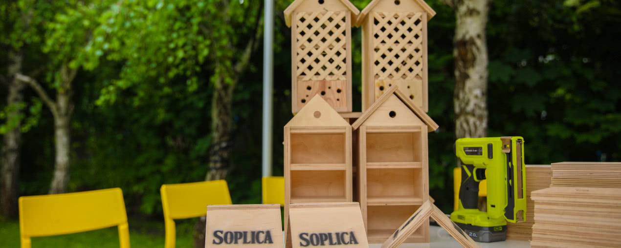 Jak zaaranżować balkon przyjazny pszczołom?