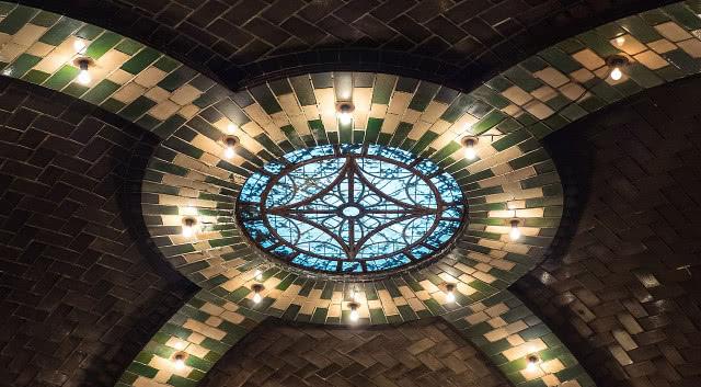 zbliżenie na świetlik