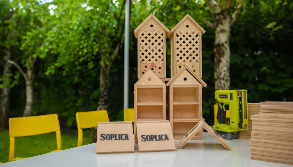 Jak zaaranżować balkon przyjazny pszczołom?