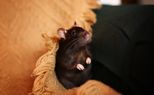 5 miejsce - zabawne i pełne ciepła zdjęcie...