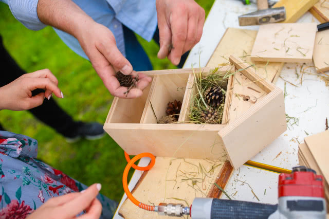 Jak zaaranżować balkon przyjazny pszczołom?