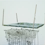 Joanna Mlącka, "Ulotne", 2013 r., olej, płótno,...