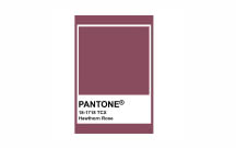 Kolory Pantone - Hawthorn Rose