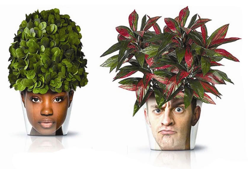 Doniczki z nadrukowanymi zdjęciami,...