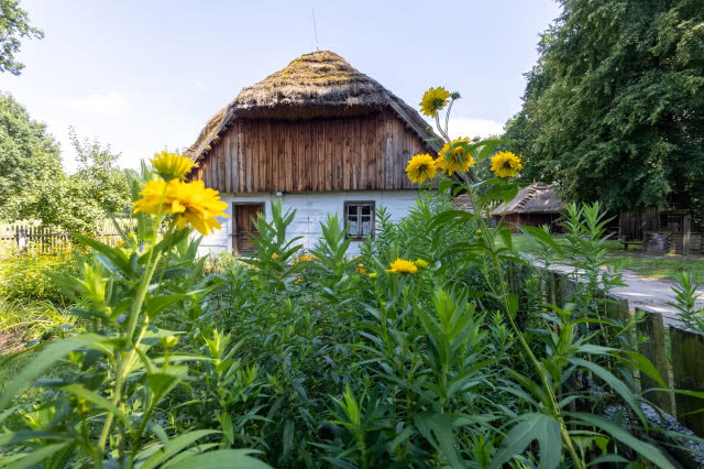 stary dom biały z drewnem wśród kwiatów