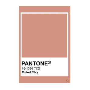 Kolor Pantone Muted Clay